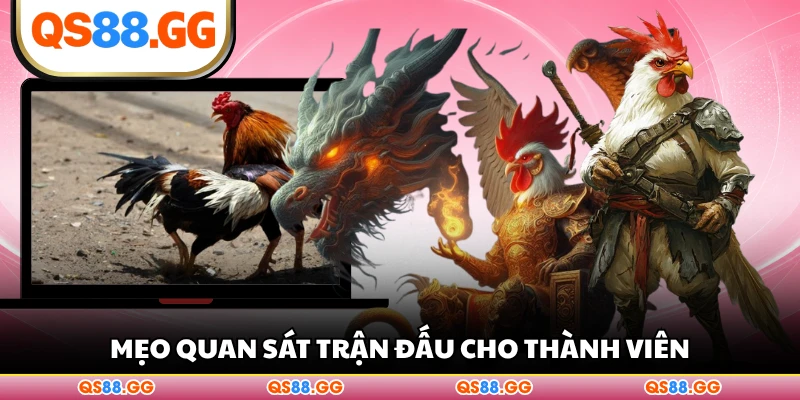 Mẹo quan sát trận đấu cho thành viên